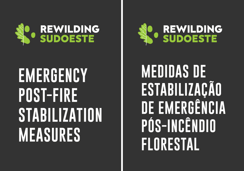MEDIDAS DE EMERGÊNCIA PÓS-INCÊNDIO FLORESTAL / EMERGENCY POST-FIRE STABILIZATION MEASURES